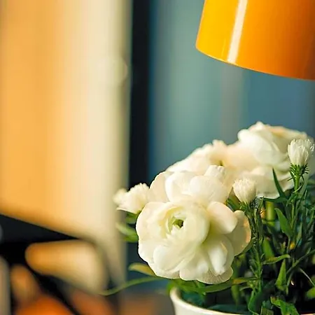 Daval Hotel